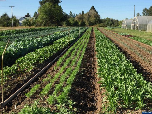 8962 S Heinz Rd, Canby, OR 97013