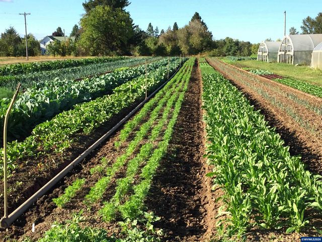8962 S Heinz Rd, Canby, OR 97013