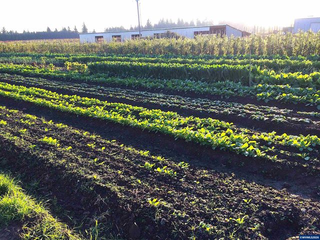 8962 S Heinz Rd, Canby, OR 97013