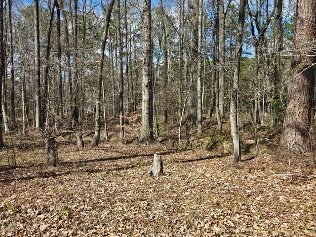 271 Winningham Road, Summerville, SC 29483