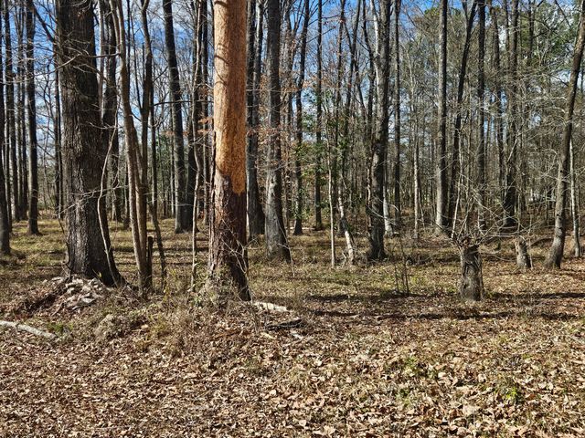 271 Winningham Road, Summerville, SC 29483