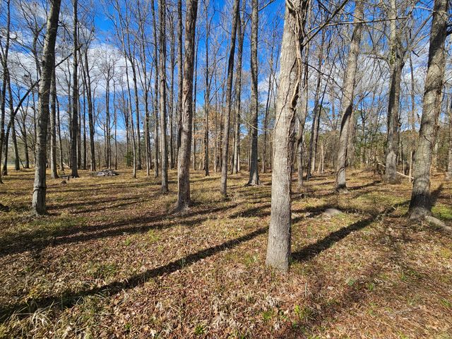 271 Winningham Road, Summerville, SC 29483