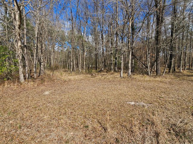 271 Winningham Road, Summerville, SC 29483