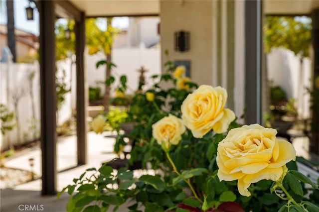2163 Thyme, Corona, CA 92879