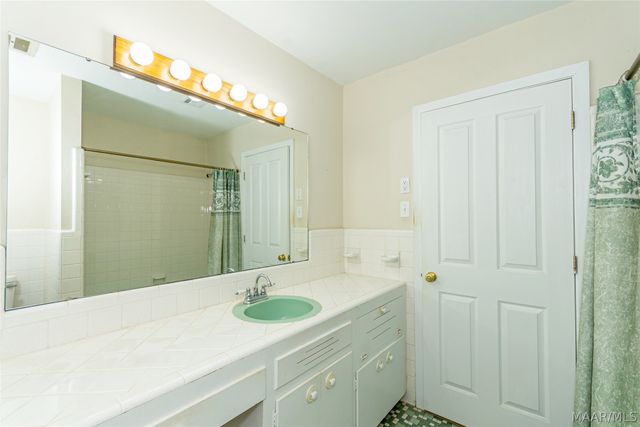 165 Brookview Drive, Eclectic, AL 36024