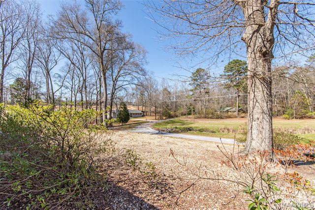 165 Brookview Drive, Eclectic, AL 36024