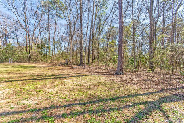 165 Brookview Drive, Eclectic, AL 36024