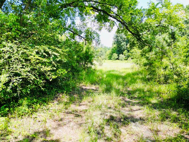 486 Sandhill Road, Dorchester, SC 29437