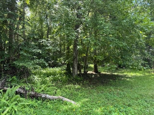 1230 ELM STREET, Oviedo, FL 32765