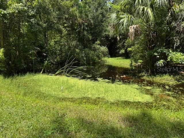 1230 ELM STREET, Oviedo, FL 32765