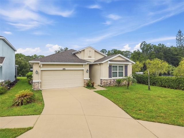 12542 CANDLEBERRY CIRCLE, Tampa, FL 33635