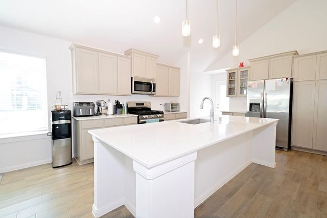 21534 Cypress Trellis Drive, Cypress, TX 77433