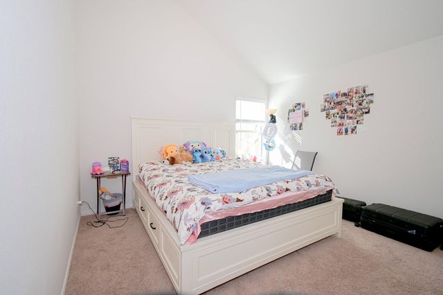 21534 Cypress Trellis Drive, Cypress, TX 77433