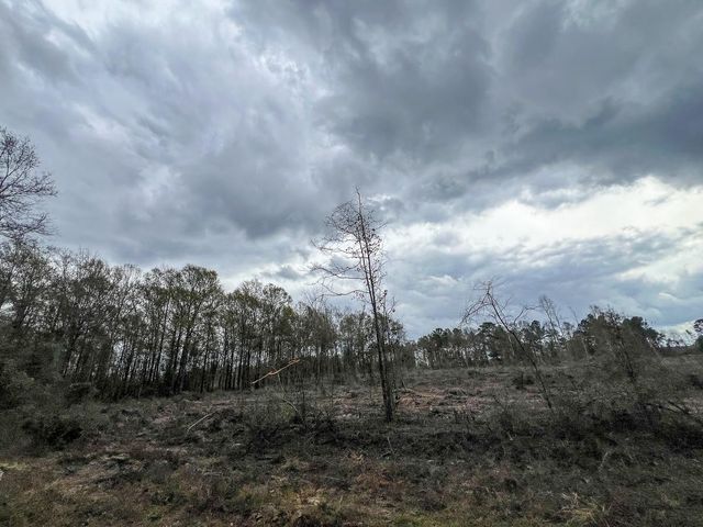 2 County Road 3038, Newton, TX 75966