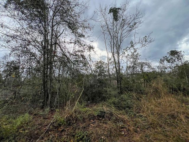 2 County Road 3038, Newton, TX 75966