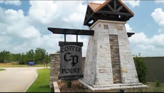 1250 Natasha's Way, Lumberton, TX 77657