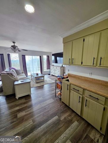 100 Hidden Hollow Lane, Dahlonega, GA 30533