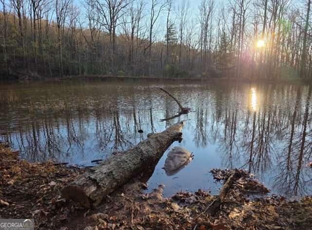 100 Hidden Hollow Lane, Dahlonega, GA 30533