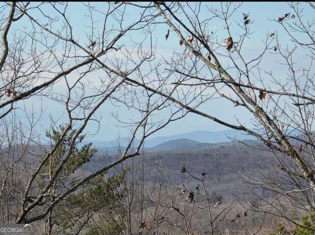 100 Hidden Hollow Lane, Dahlonega, GA 30533