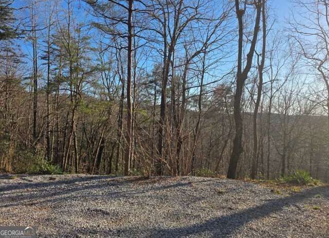 100 Hidden Hollow Lane, Dahlonega, GA 30533