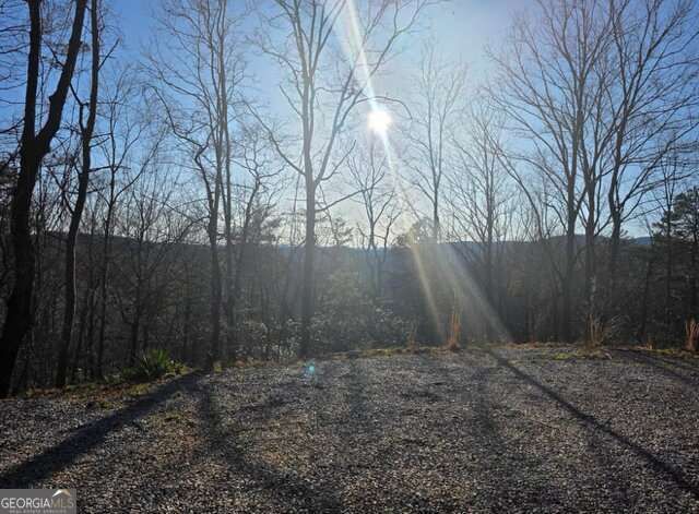 100 Hidden Hollow Lane, Dahlonega, GA 30533