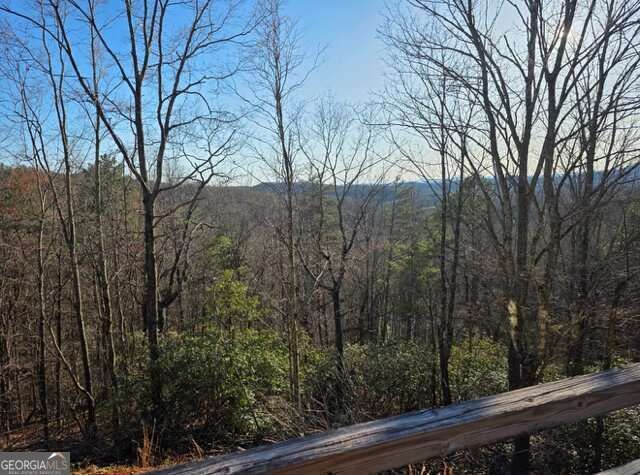 100 Hidden Hollow Lane, Dahlonega, GA 30533