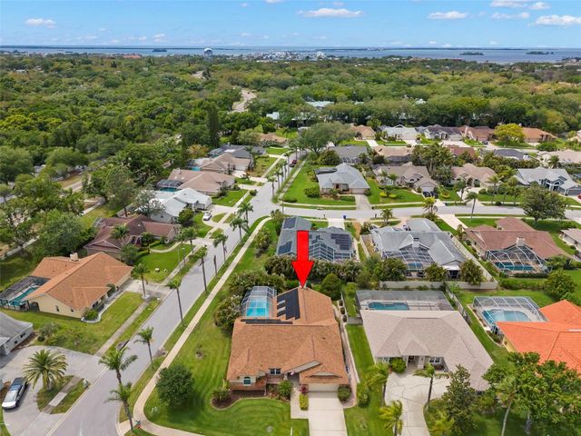 2686 SCOBEE DRIVE, Palm Harbor, FL 34683