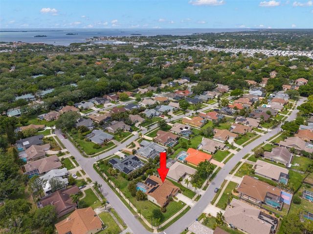 2686 SCOBEE DRIVE, Palm Harbor, FL 34683