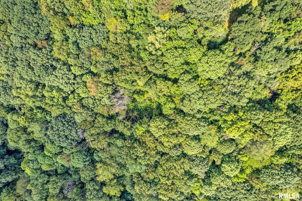 N IVY LAKE Road, Chillicothe, IL 61523