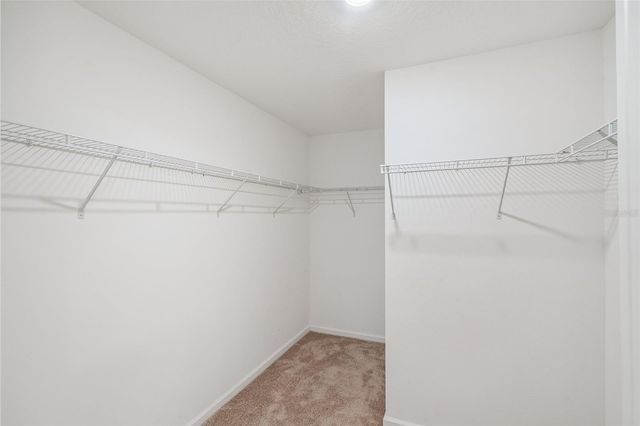 16505 CHERRY LANDING DRIVE, Groveland, FL 34736