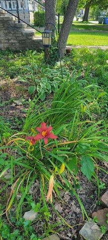 334 S Burns Avenue, Winchester, KY 40391