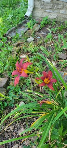 334 S Burns Avenue, Winchester, KY 40391