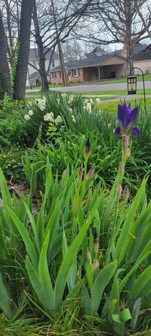 334 S Burns Avenue, Winchester, KY 40391