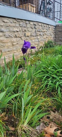 334 S Burns Avenue, Winchester, KY 40391