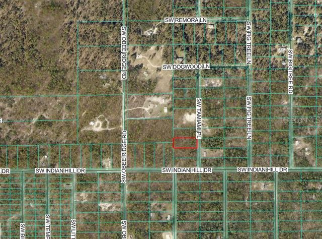 00 TAMIAMI PLACE, Dunnellon, FL 34432