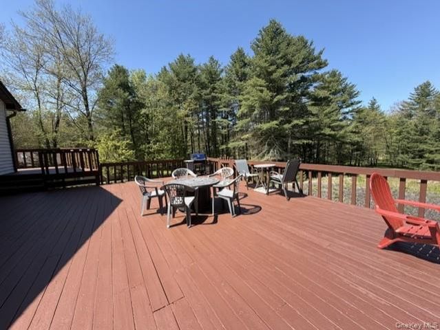 94 Gina Lane, Smallwood, NY 12778