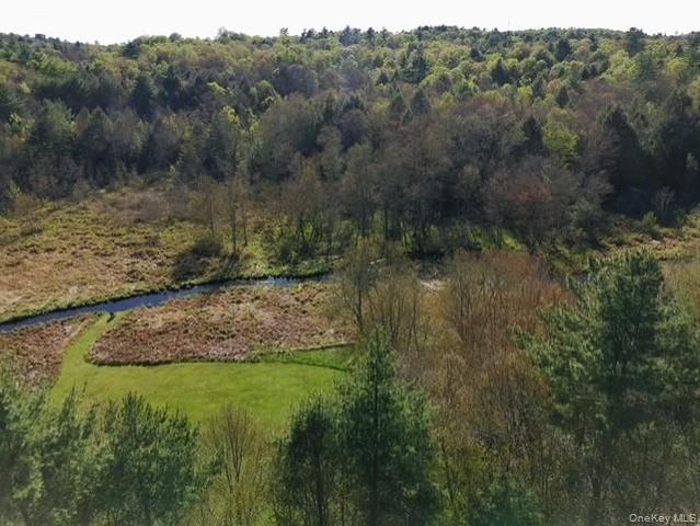 94 Gina Lane, Smallwood, NY 12778