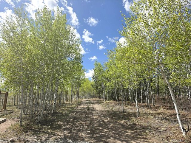 899 Concho Trl, Hartsel, CO 80449