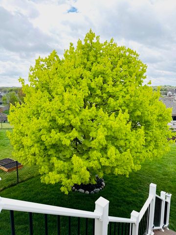 4506 146th Street, Urbandale, IA 50323