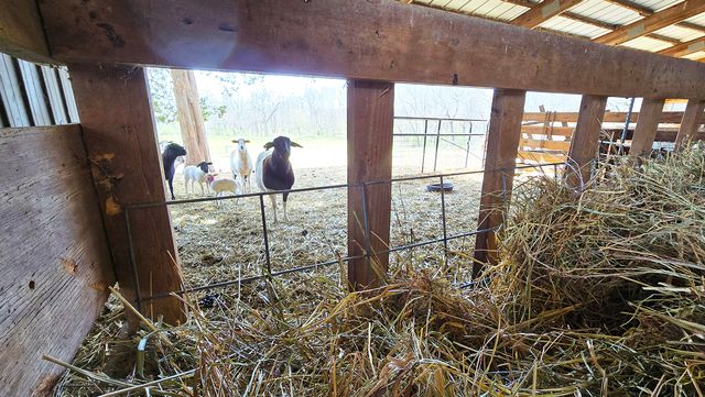 15019 N Illnois Hwy 37, Mt Vernon, IL 62864