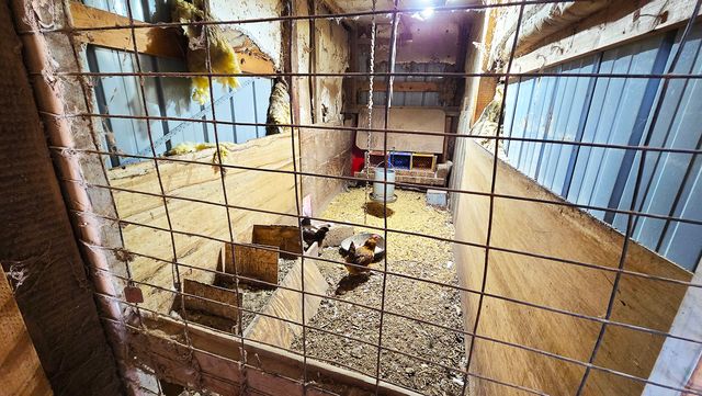 15019 N Illnois Hwy 37, Mt Vernon, IL 62864