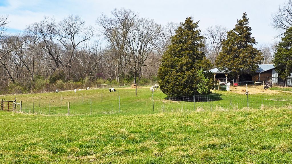 Image 13 of property listing at 15019 N Illnois Hwy 37, Mt Vernon, IL 62864