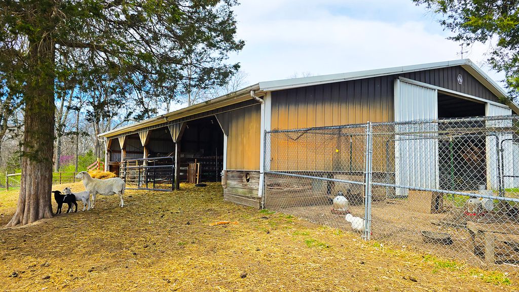 Image 15 of property listing at 15019 N Illnois Hwy 37, Mt Vernon, IL 62864