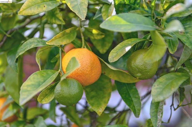 1066 1066 Bayview Ave, Oakland, CA 94610