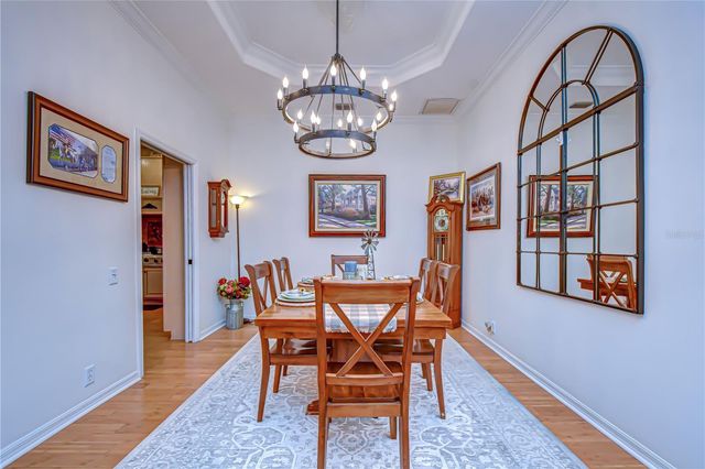 5820 AUDUBON MANOR BOULEVARD, Lithia, FL 33547