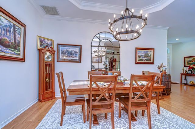 5820 AUDUBON MANOR BOULEVARD, Lithia, FL 33547