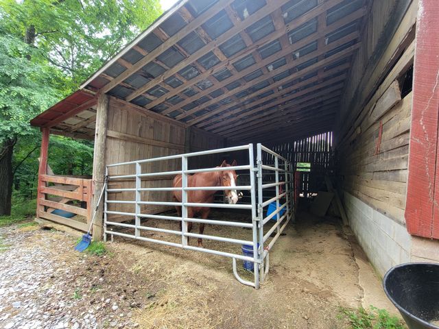 1089 Jim Clark Rd, Erin, TN 37061