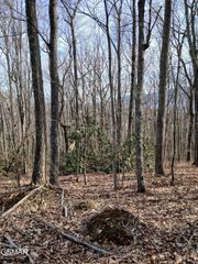 Lt 3R Rocky Ridge Road, Cosby, TN 37722