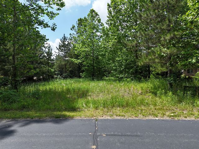 29265 Misty Pines Street, Dowagiac, MI 49047