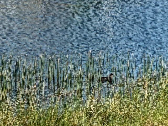 25161 E LENOX CIRCLE, Punta Gorda, FL 33950